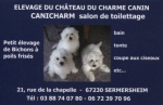CANICHARM Salon de Toilettage Canin 