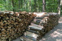 Adjudication de bois de chauffage